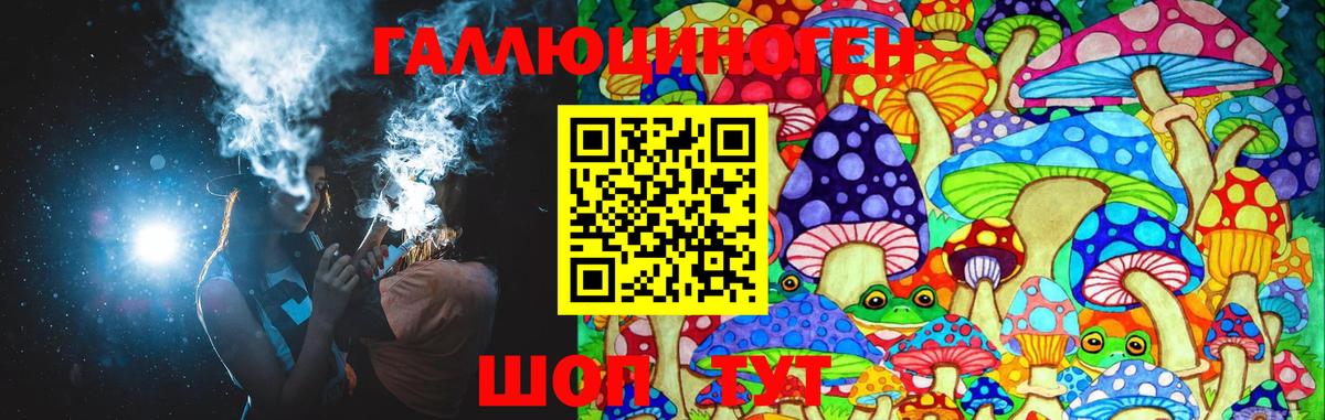 Галлюциногенные грибы Psilocybine cubensis  Вход с VPN  Волгоград 