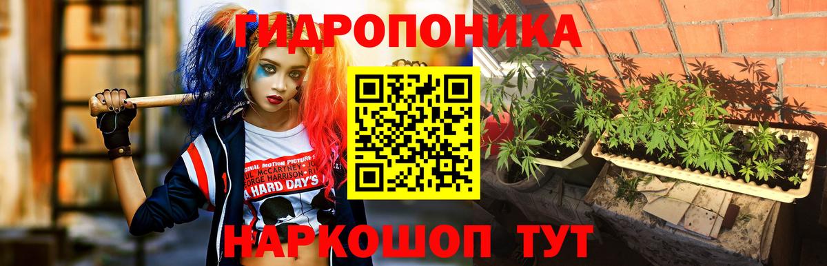 Бошки марихуана планчик Волгоград